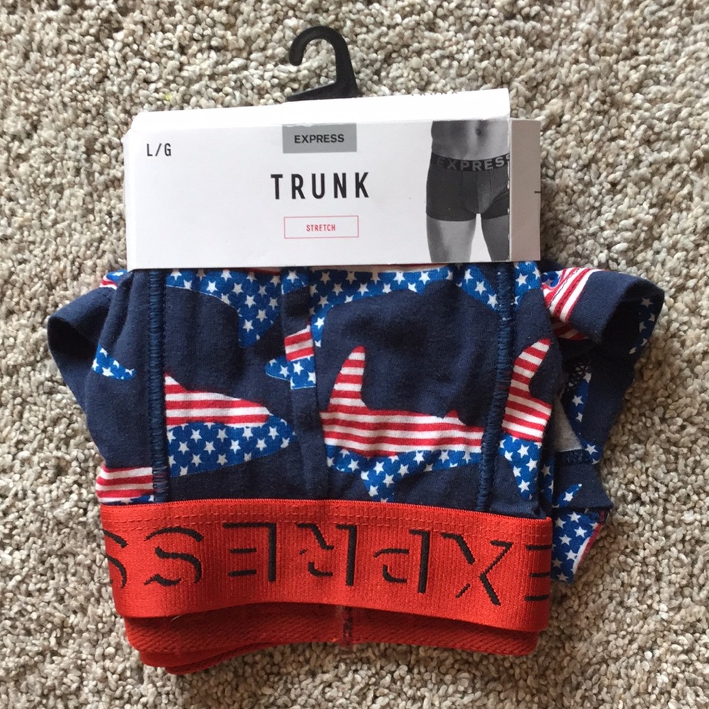 America flag shark boys trunks.